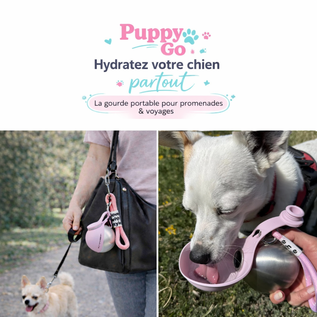 PuppyGo™ – La gourde portable pour hydrater votre chien partout